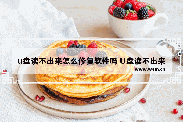 u盘读不出来怎么修复软件吗 U盘读不出来的修复软件有哪些？