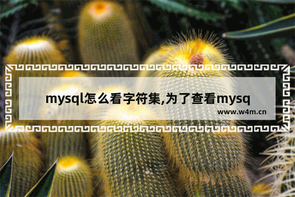 mysql怎么看字符集,为了查看mysql所支持的字符集完整列表