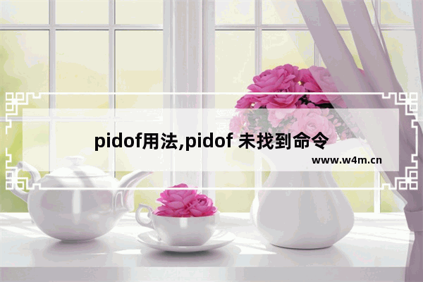 pidof用法,pidof 未找到命令