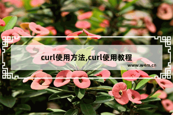 curl使用方法,curl使用教程