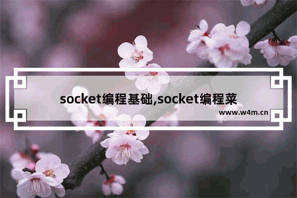 socket编程基础,socket编程菜鸟教程