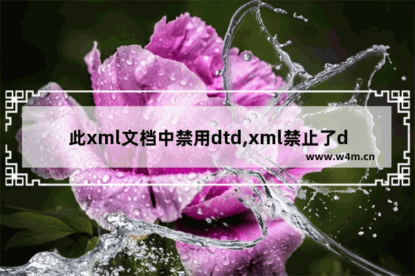 此xml文档中禁用dtd,xml禁止了dtd处理解决方法