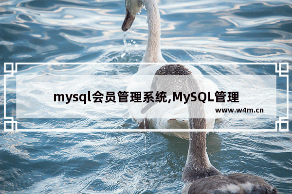 mysql会员管理系统,MySQL管理