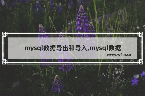 mysql数据导出和导入,mysql数据库导入导出指令