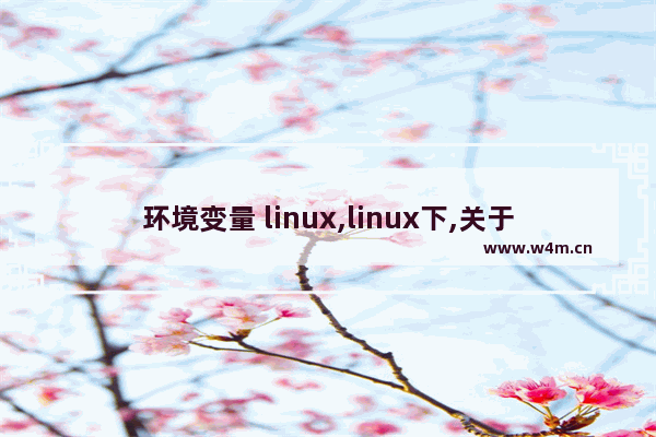 环境变量 linux,linux下,关于环境变量