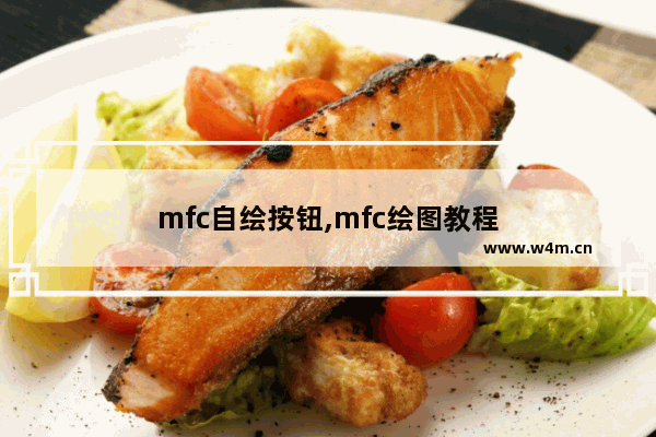 mfc自绘按钮,mfc绘图教程