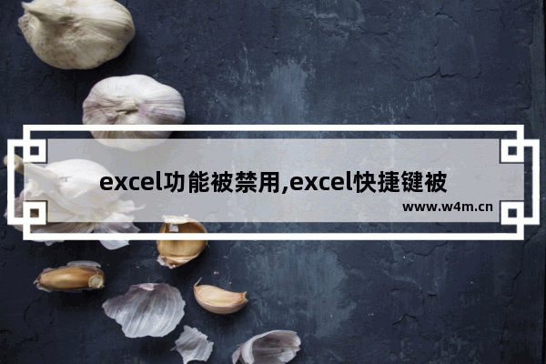 excel功能被禁用,excel快捷键被禁用