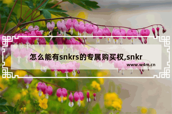 怎么能有snkrs的专属购买权,snkrs专属购买权怎么看