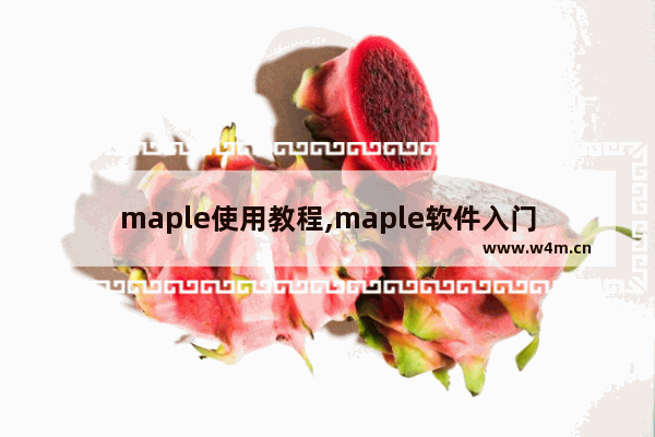 maple使用教程,maple软件入门