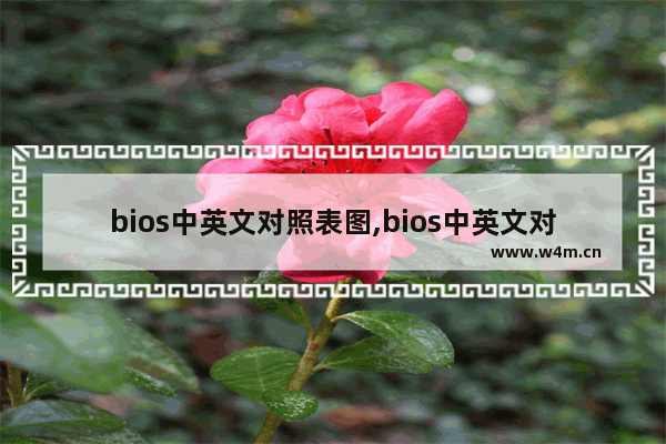 bios中英文对照表图,bios中英文对照表大全