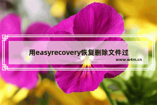 用easyrecovery恢复删除文件过程,easyrecovery数据恢复下载