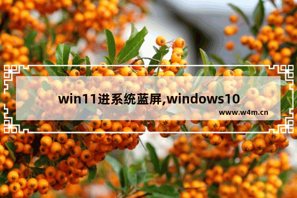 win11进系统蓝屏,windows10蓝屏进不了系统