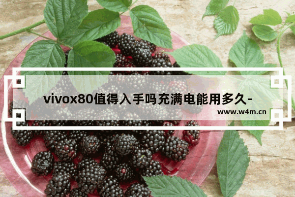 vivox80值得入手吗充满电能用多久-,vivox80值得入手吗-