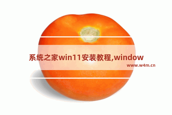 系统之家win11安装教程,windows11 子系统