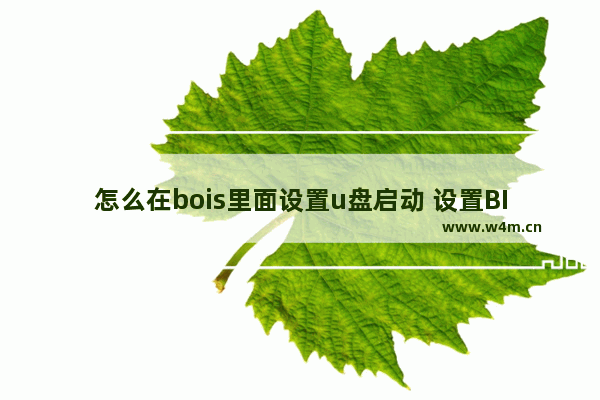 怎么在bois里面设置u盘启动 设置BIOS使U盘启动