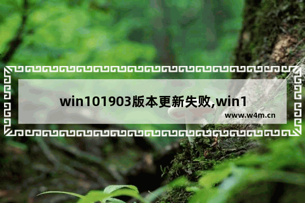 win101903版本更新失败,win101903无法更新