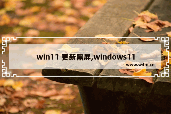 win11 更新黑屏,windows11更新后黑屏