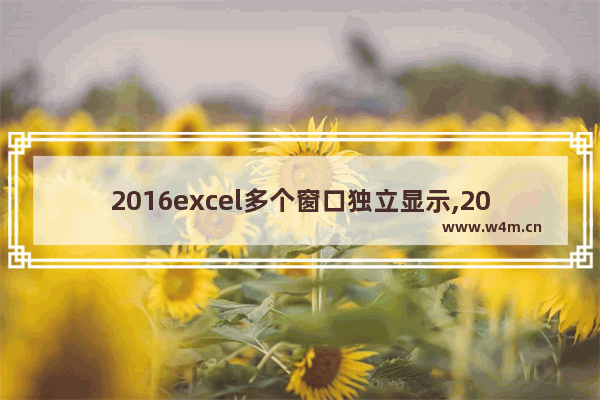 2016excel多个窗口独立显示,2007excel多个窗口独立显示