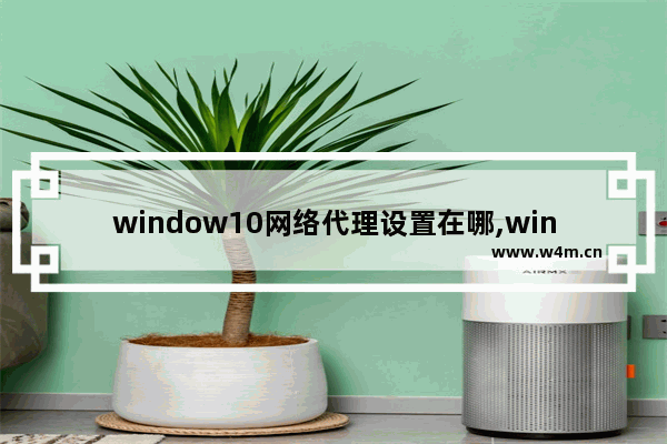 window10网络代理设置在哪,win10设置代理服务器