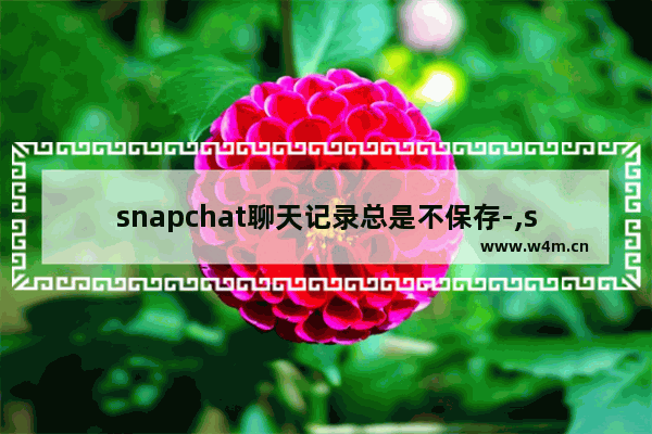 snapchat聊天记录总是不保存-,snapchat的聊天记录怎么看