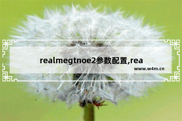 realmegtnoe2参数配置,realmegt的参数配置详情