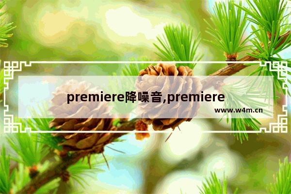 premiere降噪音,premiere 声音降噪