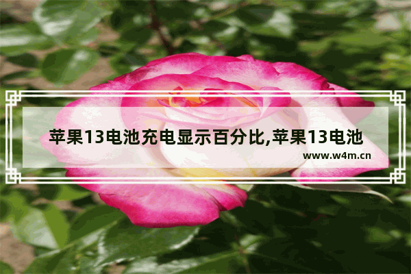 苹果13电池充电显示百分比,苹果13电池不显示百分比