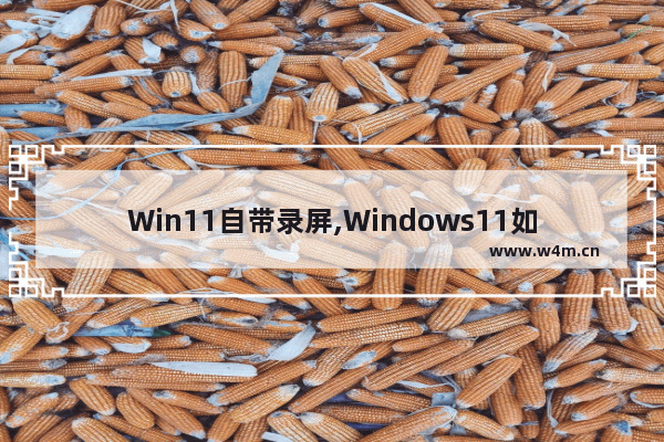 Win11自带录屏,Windows11如何录屏