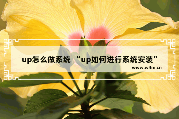 up怎么做系统 “up如何进行系统安装”