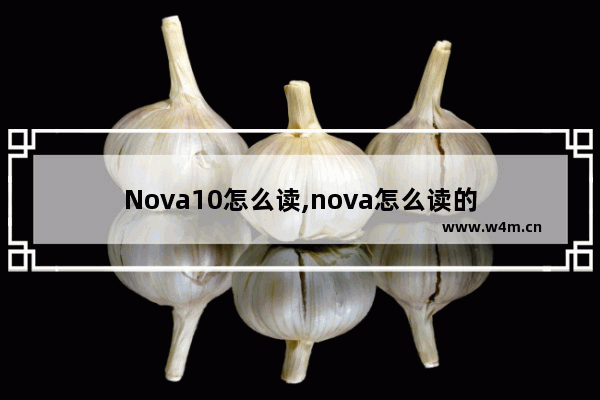 Nova10怎么读,nova怎么读的