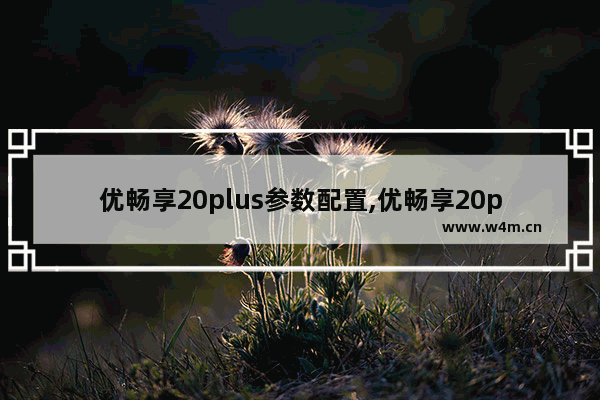 优畅享20plus参数配置,优畅享20plus5g参数