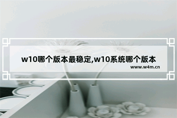 w10哪个版本最稳定,w10系统哪个版本性能最好