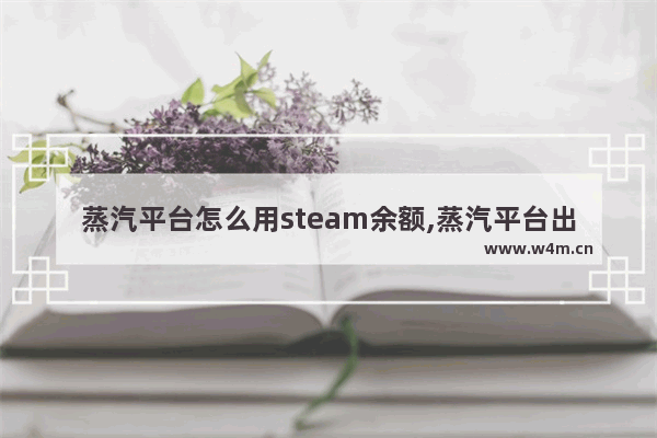 蒸汽平台怎么用steam余额,蒸汽平台出了那steam上的游戏怎么办