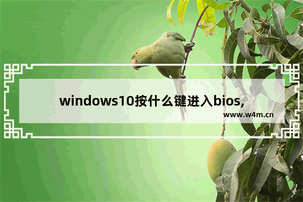 windows10按什么键进入bios,windows10怎么进入bios