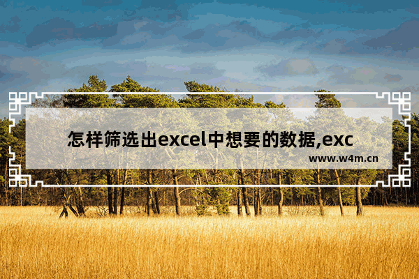 怎样筛选出excel中想要的数据,excel中怎么筛选出想要的数据