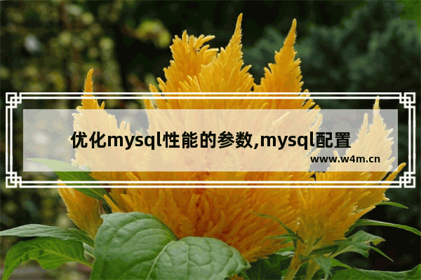 优化mysql性能的参数,mysql配置文件参数优化