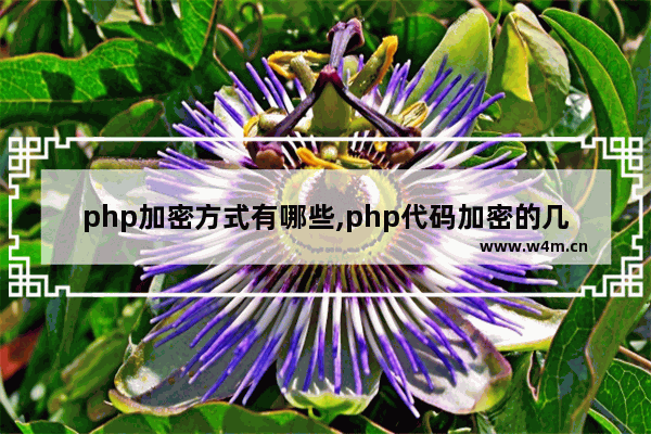 php加密方式有哪些,php代码加密的几种方式