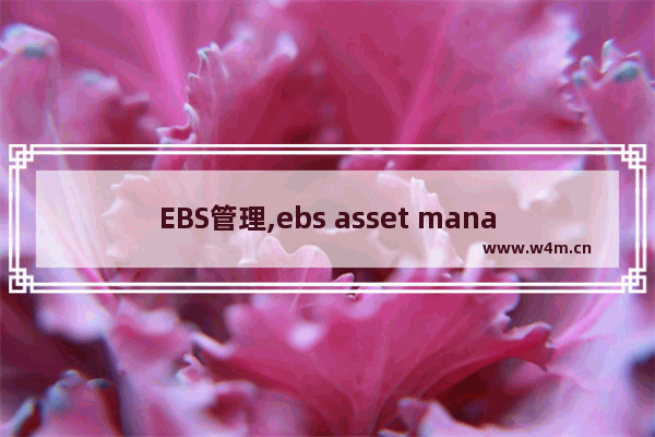 EBS管理,ebs asset management