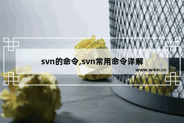 svn的命令,svn常用命令详解