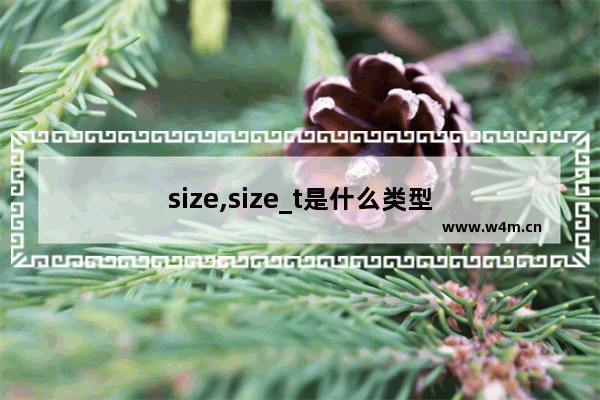 size,size_t是什么类型