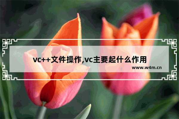 vc++文件操作,vc主要起什么作用