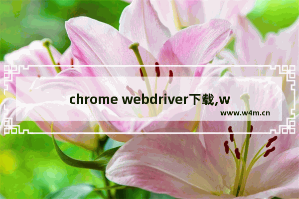 chrome webdriver下载,webdriver.chrome方法