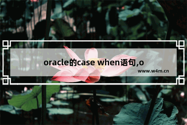 oracle的case when语句,oracle的case when是什么意思