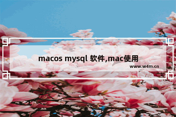 macos mysql 软件,mac使用mysql