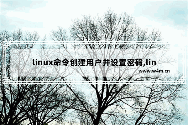 linux命令创建用户并设置密码,linux当前用户密码修改