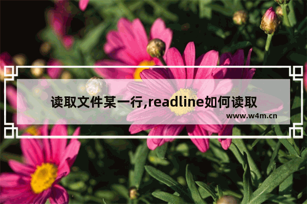 读取文件某一行,readline如何读取下一行