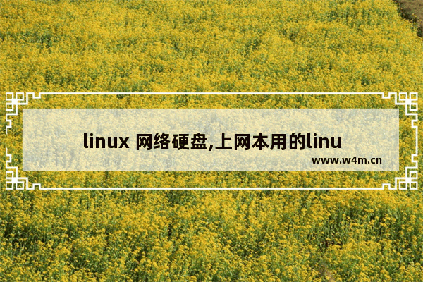 linux 网络硬盘,上网本用的linux系统