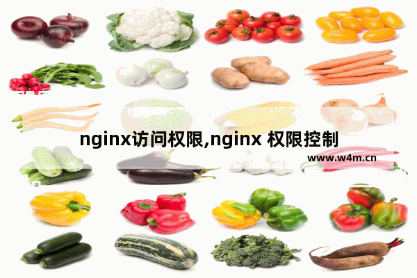 nginx访问权限,nginx 权限控制