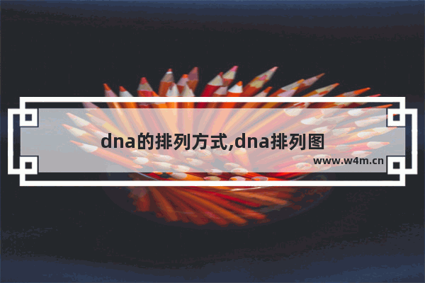 dna的排列方式,dna排列图