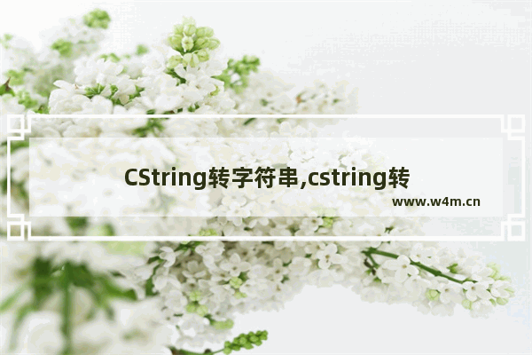 CString转字符串,cstring转char-函数 多字节